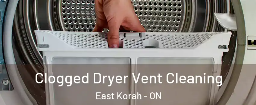  Clogged Dryer Vent Cleaning East Korah - ON