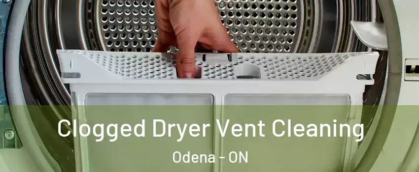  Clogged Dryer Vent Cleaning Odena - ON