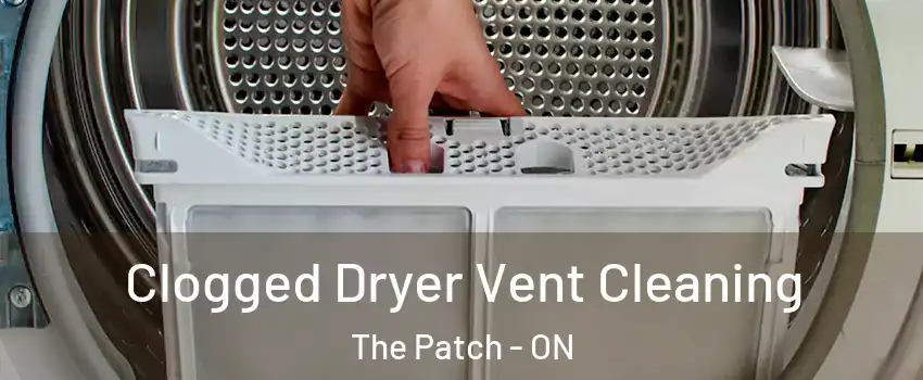  Clogged Dryer Vent Cleaning The Patch - ON