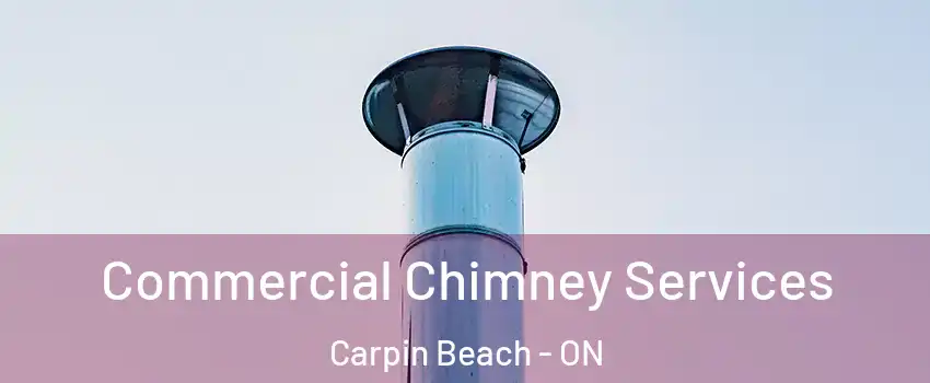  Commercial Chimney Services Carpin Beach - ON