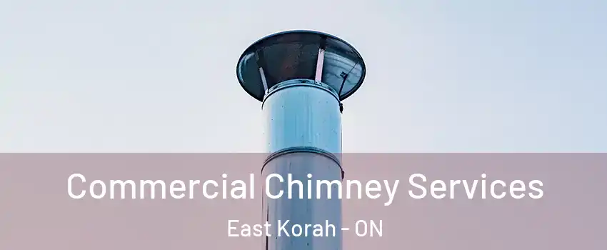  Commercial Chimney Services East Korah - ON