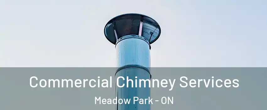  Commercial Chimney Services Meadow Park - ON