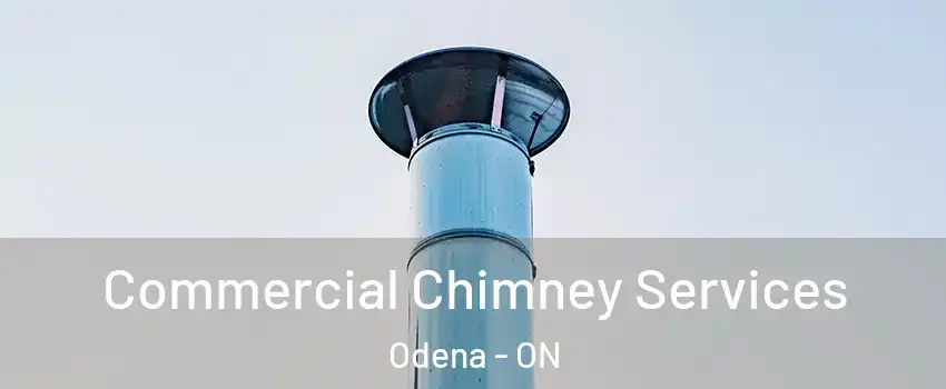  Commercial Chimney Services Odena - ON