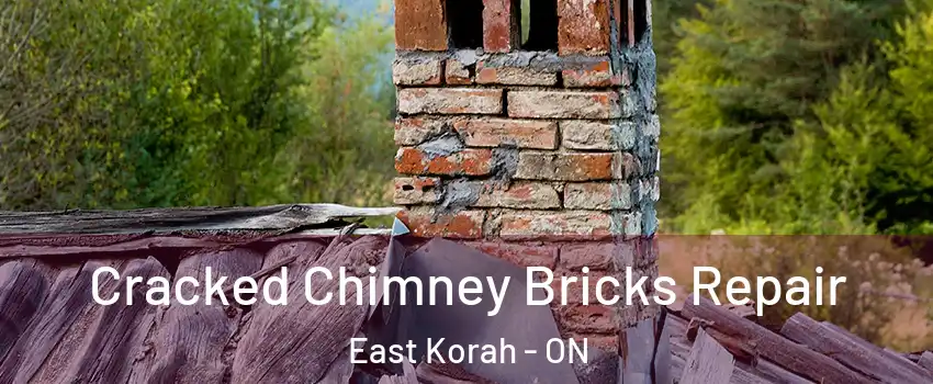  Cracked Chimney Bricks Repair East Korah - ON