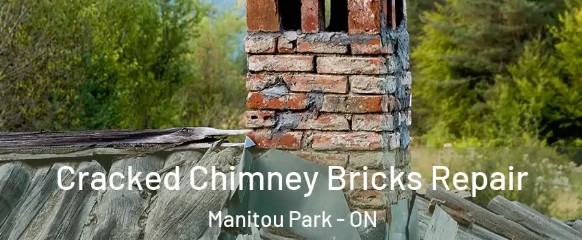  Cracked Chimney Bricks Repair Manitou Park - ON