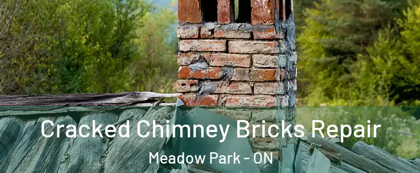  Cracked Chimney Bricks Repair Meadow Park - ON