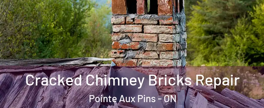  Cracked Chimney Bricks Repair Pointe Aux Pins - ON