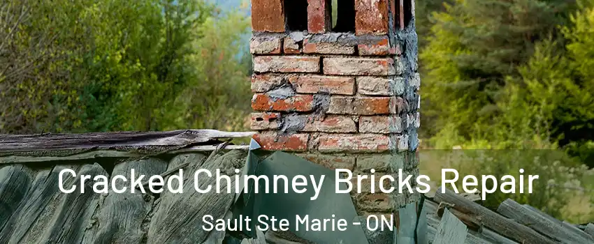  Cracked Chimney Bricks Repair Sault Ste Marie - ON