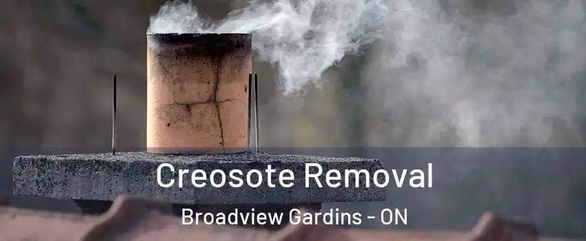  Creosote Removal Broadview Gardins - ON