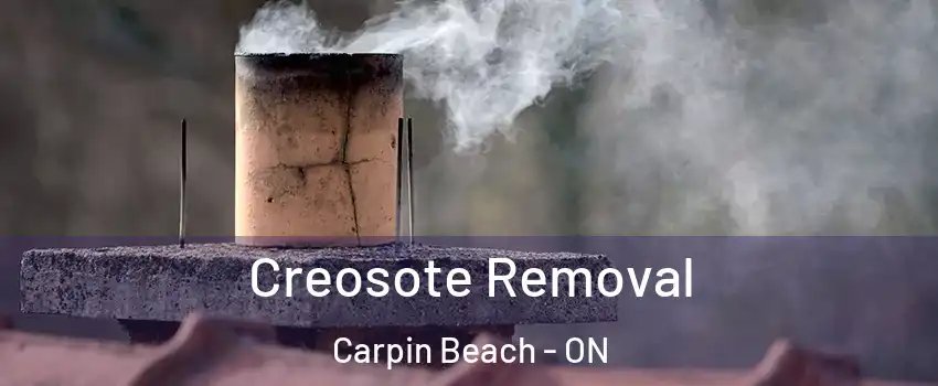  Creosote Removal Carpin Beach - ON