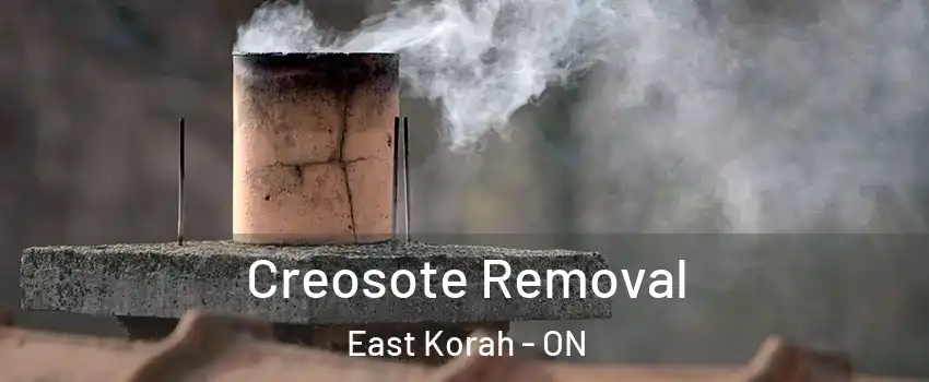  Creosote Removal East Korah - ON