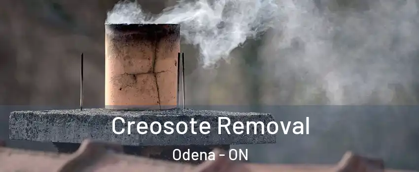  Creosote Removal Odena - ON