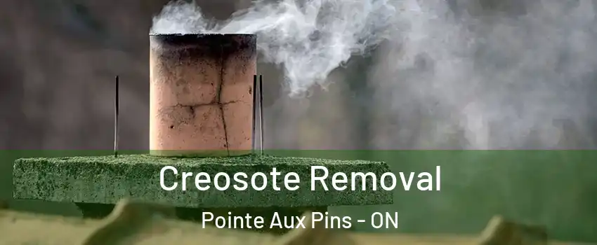  Creosote Removal Pointe Aux Pins - ON