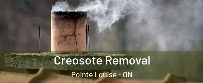  Creosote Removal Pointe Louise - ON