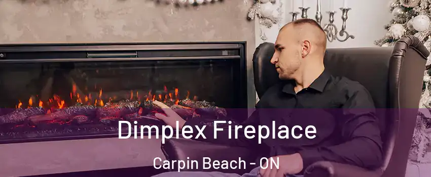  Dimplex Fireplace Carpin Beach - ON