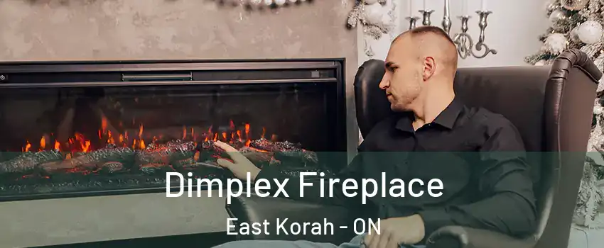  Dimplex Fireplace East Korah - ON