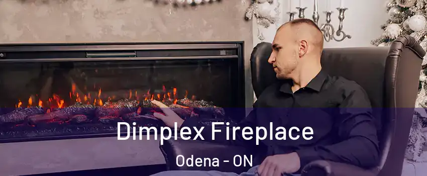  Dimplex Fireplace Odena - ON