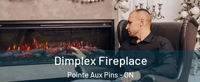  Dimplex Fireplace Pointe Aux Pins - ON