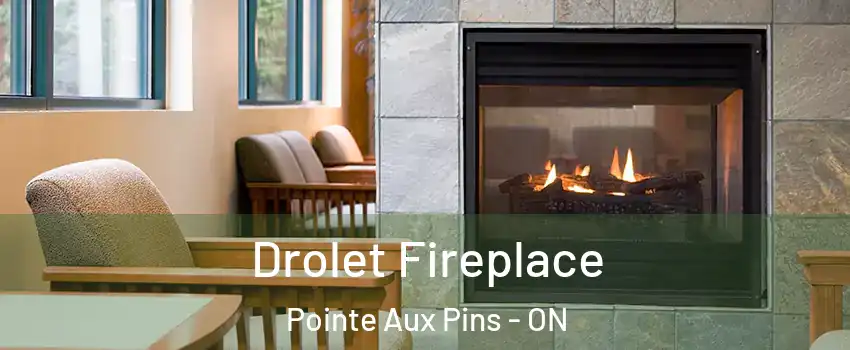  Drolet Fireplace Pointe Aux Pins - ON