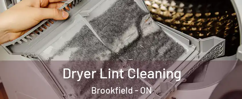  Dryer Lint Cleaning Brookfield - ON