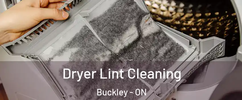  Dryer Lint Cleaning Buckley - ON