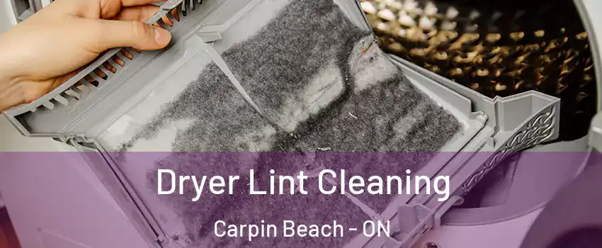  Dryer Lint Cleaning Carpin Beach - ON