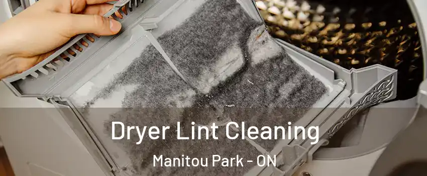 Dryer Lint Cleaning Manitou Park - ON