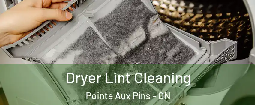  Dryer Lint Cleaning Pointe Aux Pins - ON