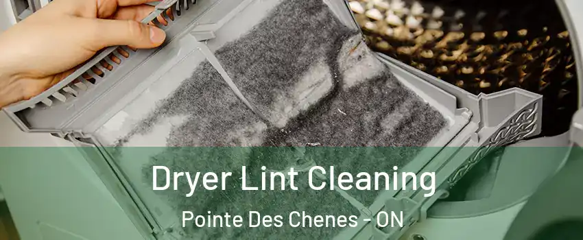  Dryer Lint Cleaning Pointe Des Chenes - ON