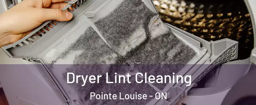  Dryer Lint Cleaning Pointe Louise - ON