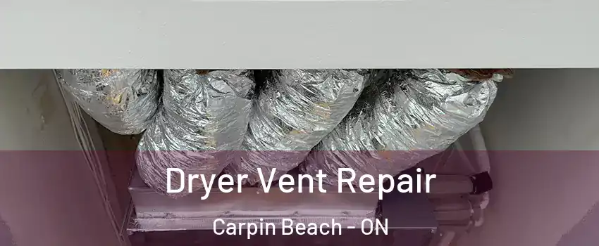  Dryer Vent Repair Carpin Beach - ON