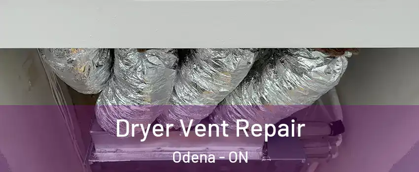  Dryer Vent Repair Odena - ON