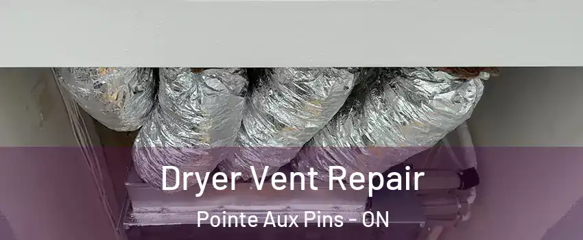  Dryer Vent Repair Pointe Aux Pins - ON