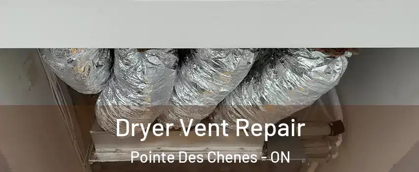  Dryer Vent Repair Pointe Des Chenes - ON