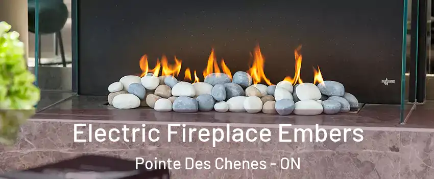  Electric Fireplace Embers Pointe Des Chenes - ON