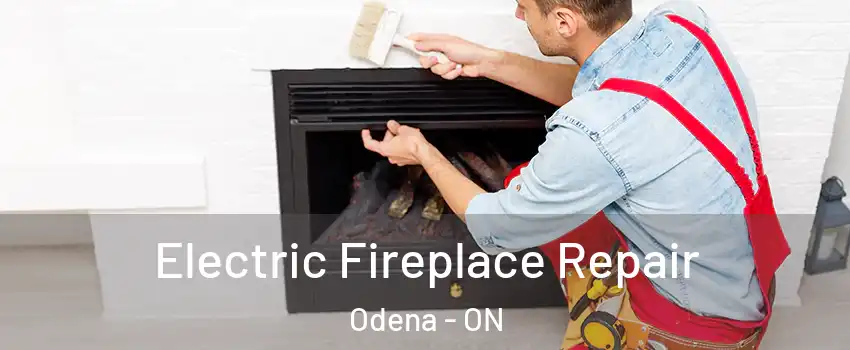  Electric Fireplace Repair Odena - ON