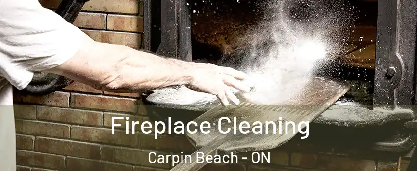  Fireplace Cleaning Carpin Beach - ON