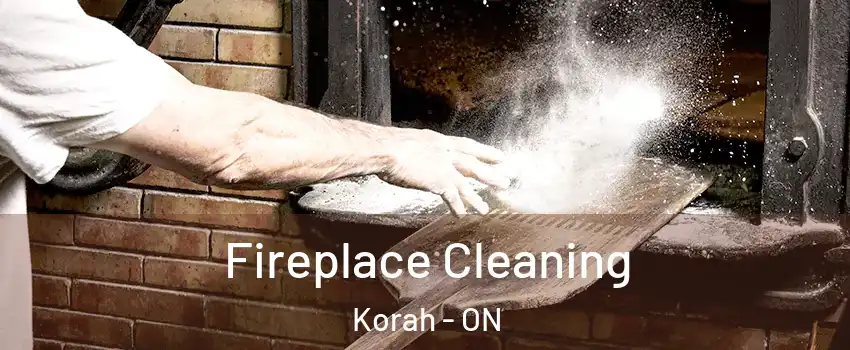  Fireplace Cleaning Korah - ON