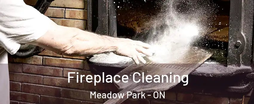 Fireplace Cleaning Meadow Park - ON