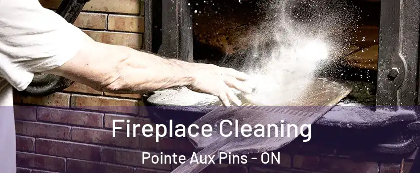  Fireplace Cleaning Pointe Aux Pins - ON