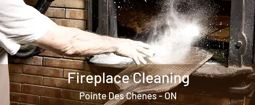  Fireplace Cleaning Pointe Des Chenes - ON