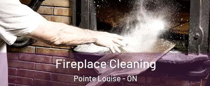  Fireplace Cleaning Pointe Louise - ON