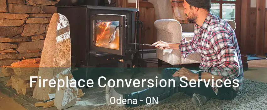  Fireplace Conversion Services Odena - ON