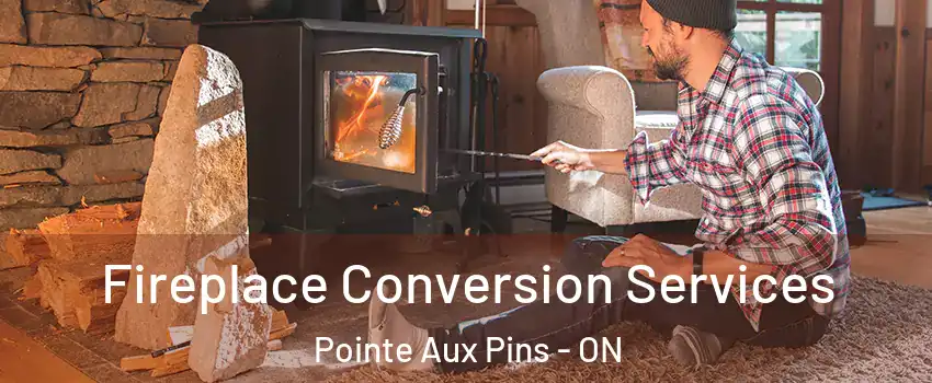  Fireplace Conversion Services Pointe Aux Pins - ON