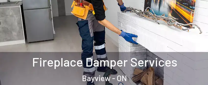  Fireplace Damper Services Bayview - ON