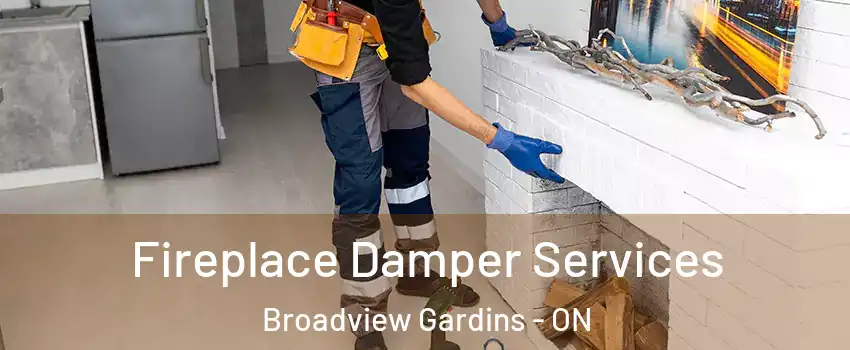  Fireplace Damper Services Broadview Gardins - ON