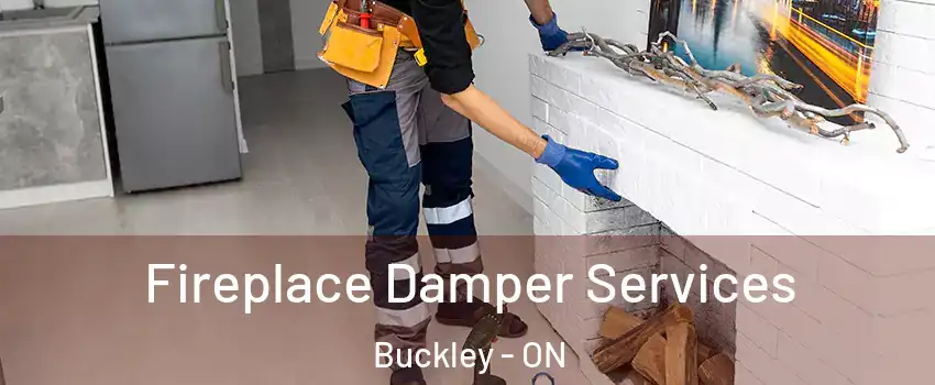  Fireplace Damper Services Buckley - ON