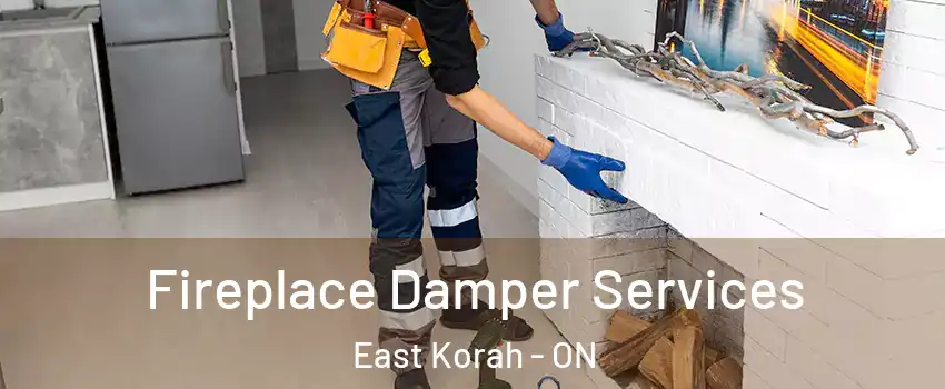  Fireplace Damper Services East Korah - ON