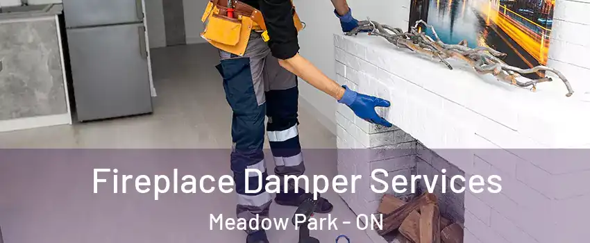  Fireplace Damper Services Meadow Park - ON