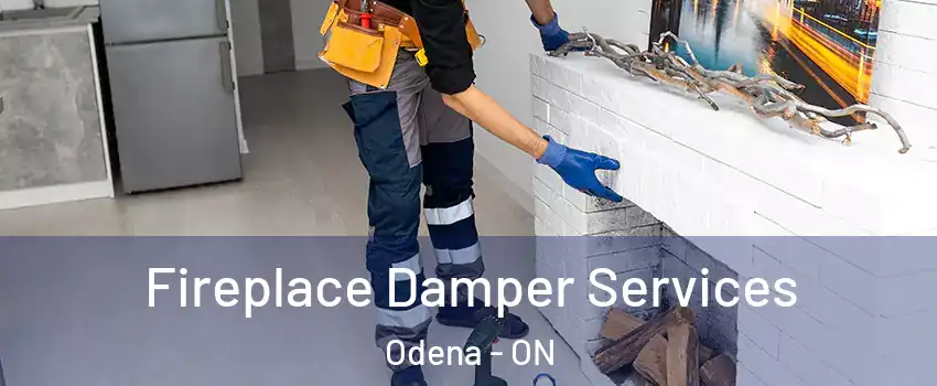  Fireplace Damper Services Odena - ON